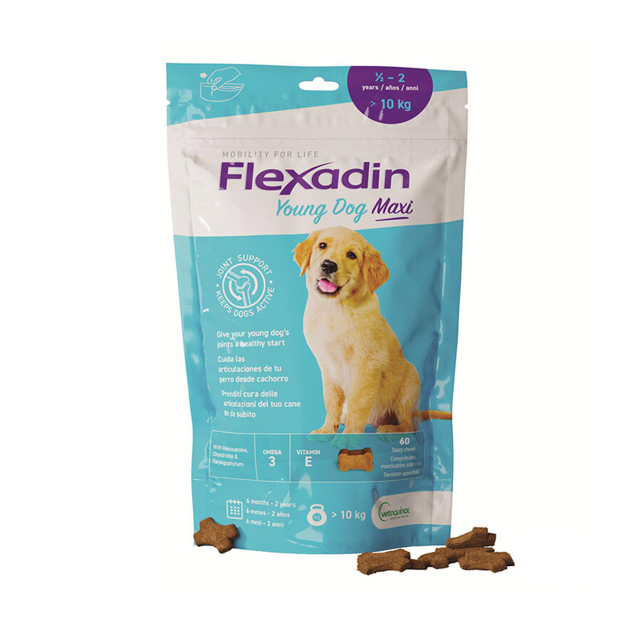 Vetoquinol Flexadin Young Maxi Condroprotector para cachorros, , large indicador imagen numero 1
